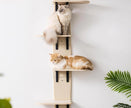 Wooden Door-Mounted Wall Cat Tree – Minimalist Wood Cat Climbing Frame