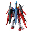 RG Destiny Gundam [Titanium Finish]