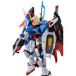 RG Destiny Gundam [Titanium Finish]