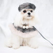 Ophelia Plaid Dog Harness Set | Outfit with Hat and Leash