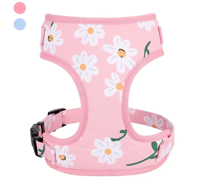 Daisy Garden Dog Harness | Floral Walking Harness