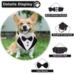Best Man Collar