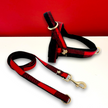 Canada leash with hands-free extension