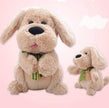 Clap Ears Clap Hands Dog Electric Singing