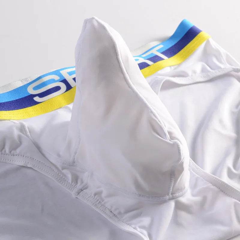 Silk Quick dry Breathable Ball sack Briefs with Pouch underwear men.