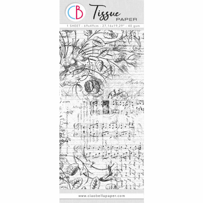 Tissue Paper cm69x49 27,66