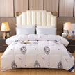 Downfull Spring And Autumn Winter Duvet Thickened Velvet Quilt Comforter