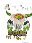 Arizona Sour Watermelon Fruit Snacks 142G - U.S Edition