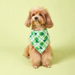 Saint Patrick’s Day Dog Bandana – Festive Holiday Pet Accessory