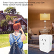 WiFi Smart Plug with Timer and Voice Control