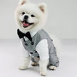 Distinguished Gentleman Two-Piece Dog Suit | Formal Dog Outfit Set