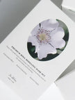 Dr.Althea Premium Rosa Modeling Mask Set 25g*5