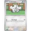 Tandemaus (157/191) (SSP)