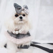 Ophelia Plaid Dog Harness Set | Outfit with Hat and Leash