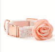 Enchanted Collar & Leash Set | Dog Collar and Leash