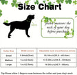 Saint Patrick’s Day Collar – Festive Luxury Dog Collar