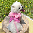 Angel Wings Dog Walking Set | Harness and Leash