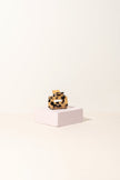 The Desire Collection