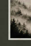FADING TREES, CADRE VINTAGE OR