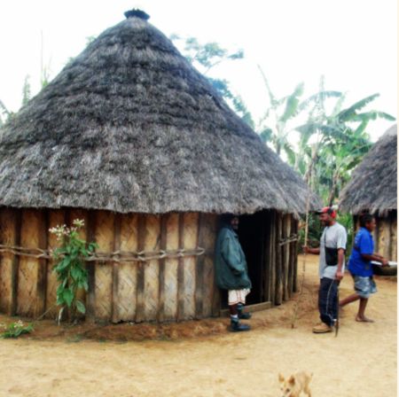Gaia - PNG (Certified Organic Coffee)