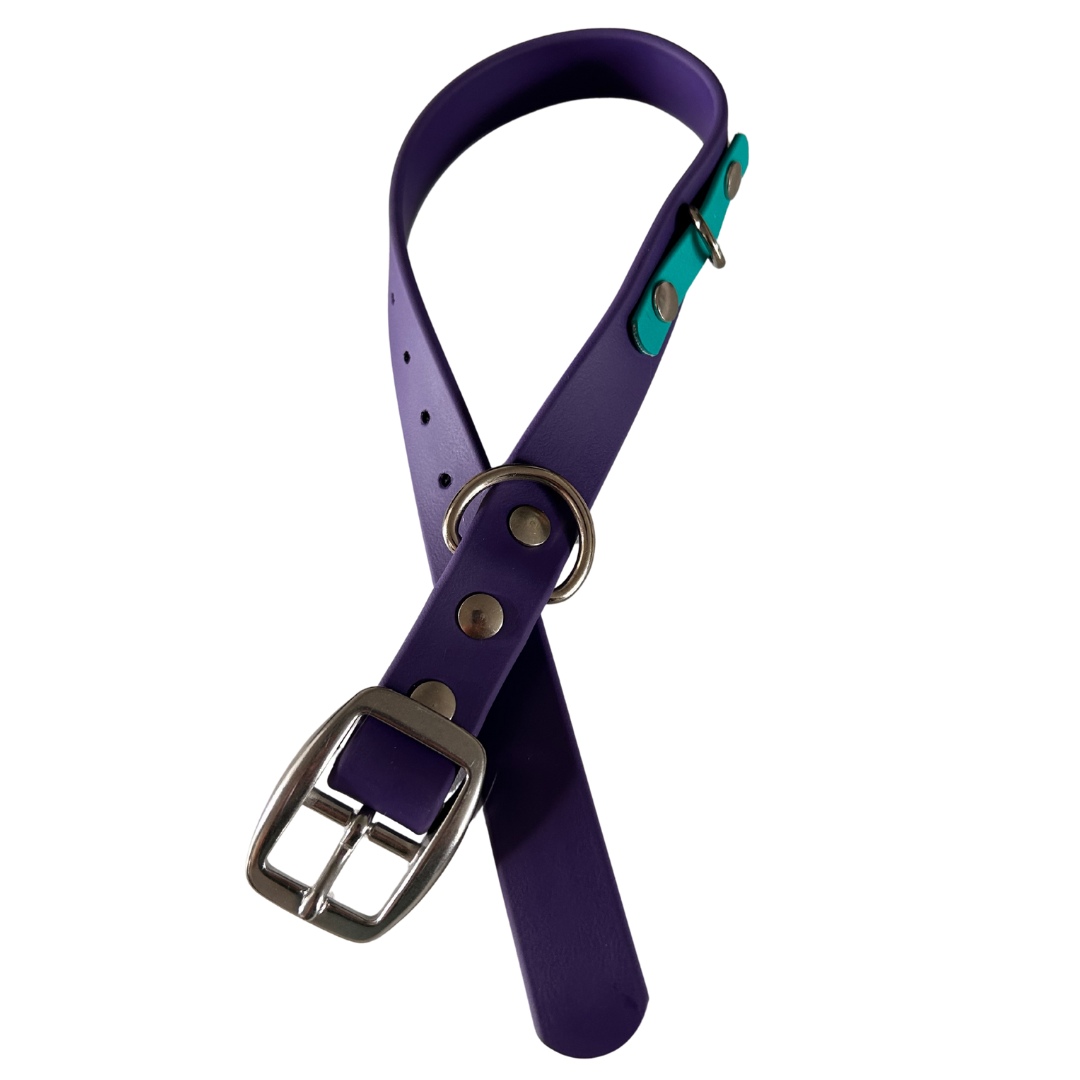 Promo Spéciale sur le Collier standard 1