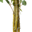 Benja Artificial Ficus Tree Potted Plant 6’