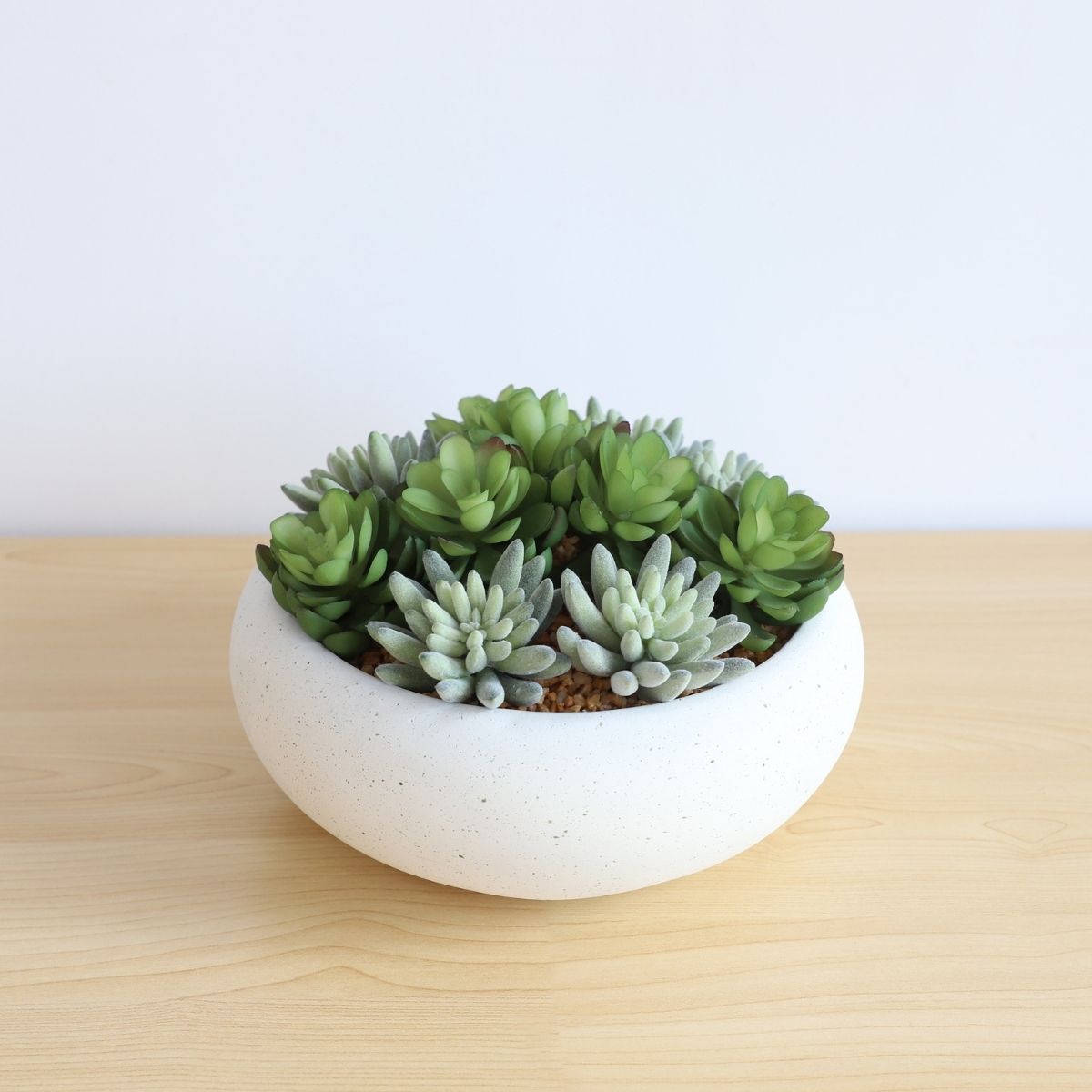 Zed Faux Succulent Arrangement in Low White Pot 7.1