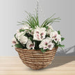 Camila Artificial Floral Arrangement In Hanging Basket