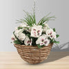 Camila Artificial Floral Arrangement In Hanging Basket
