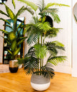 Zamora Cement Planter (Multiple Sizes)
