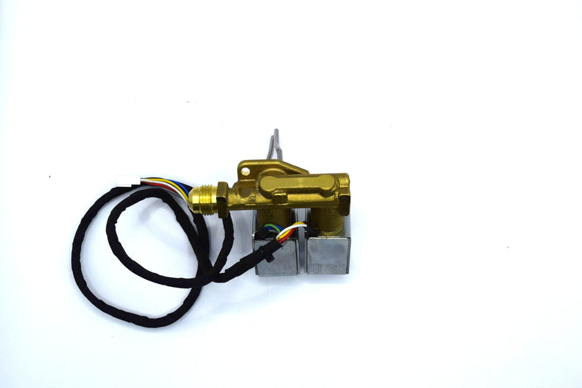 Dual Propane Valve
