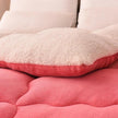 New Thick Lambskin Winter Duvet Insert Double-sided Velvet Lambswool Warm Quilt