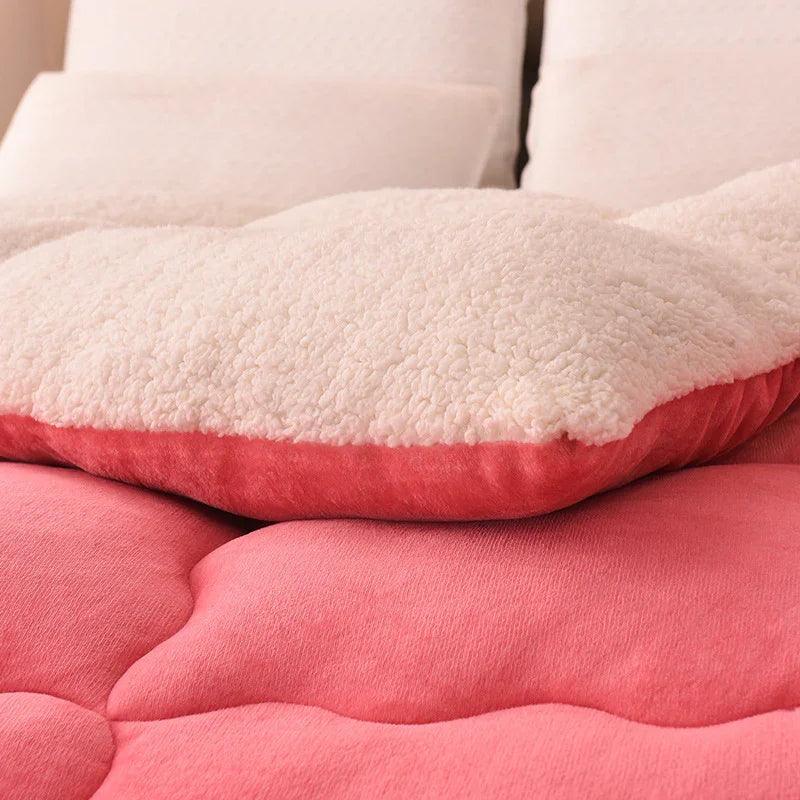 New Thick Lambskin Winter Duvet Insert Double-sided Velvet Lambswool Warm Quilt