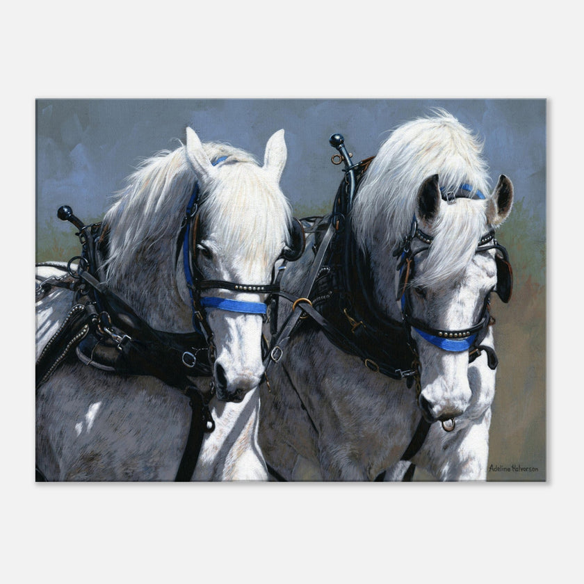 POWER AND GRACE Canvas Print