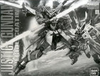 Premium Bandai MG 1/100 Justice Gundam Special Coating