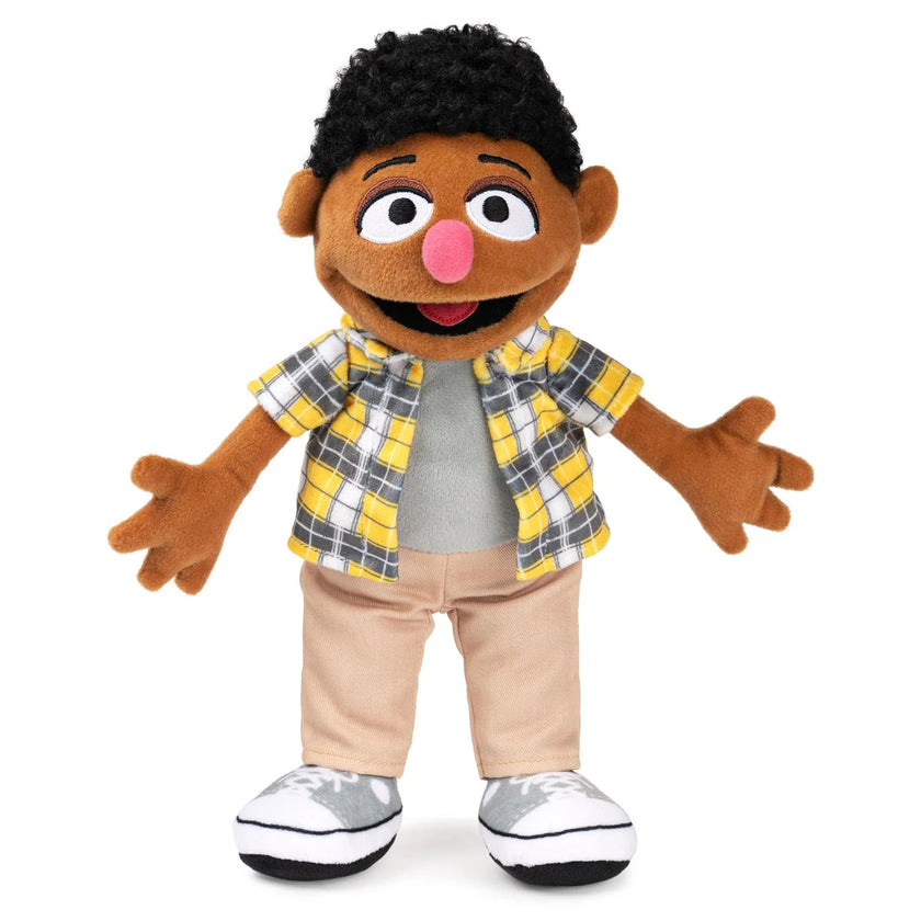 Sesame Street Tamir 13