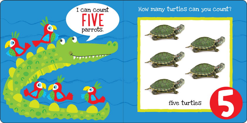Peter Pauper Press - My First NUMBERS Board Book