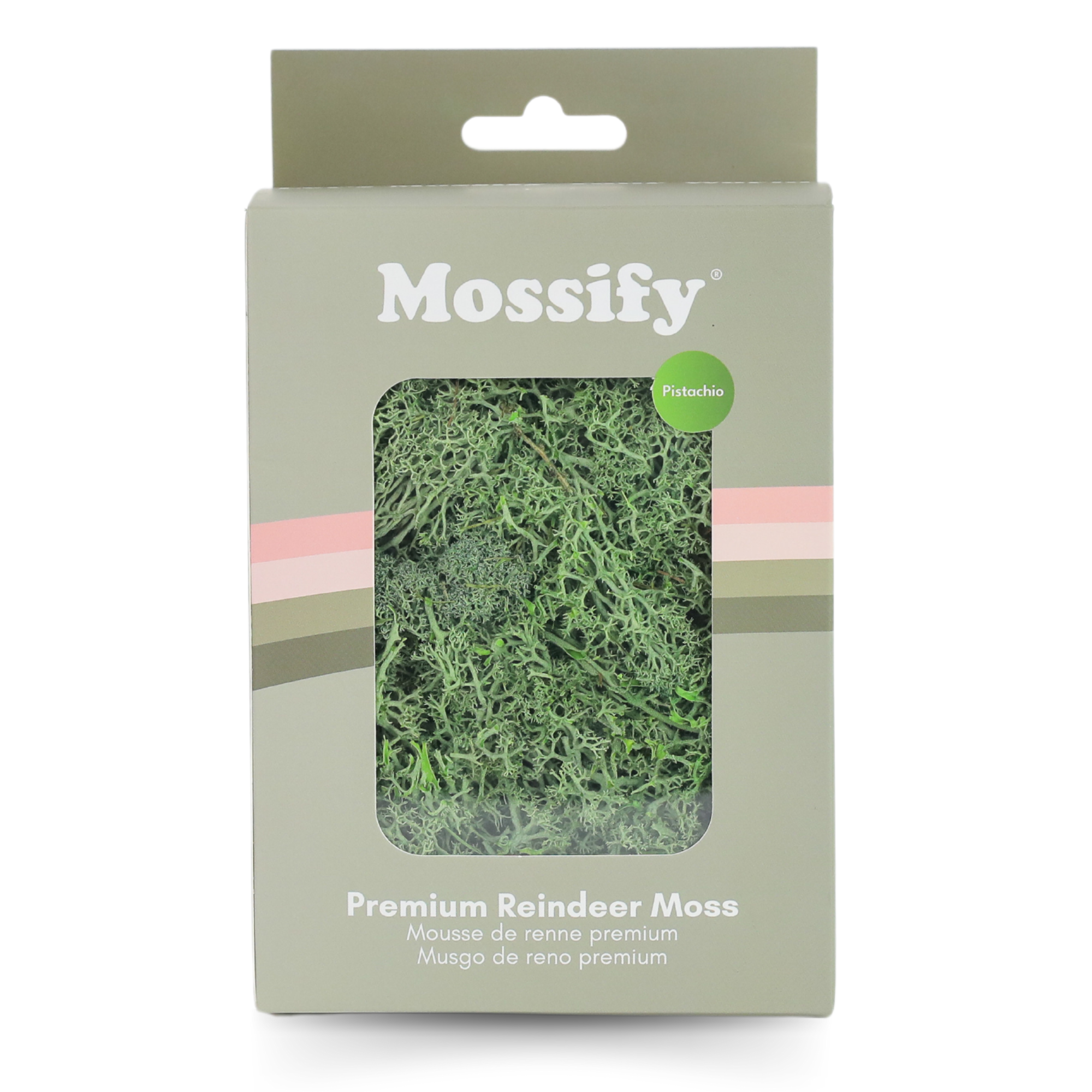 Premium Preserved Reindeer Moss