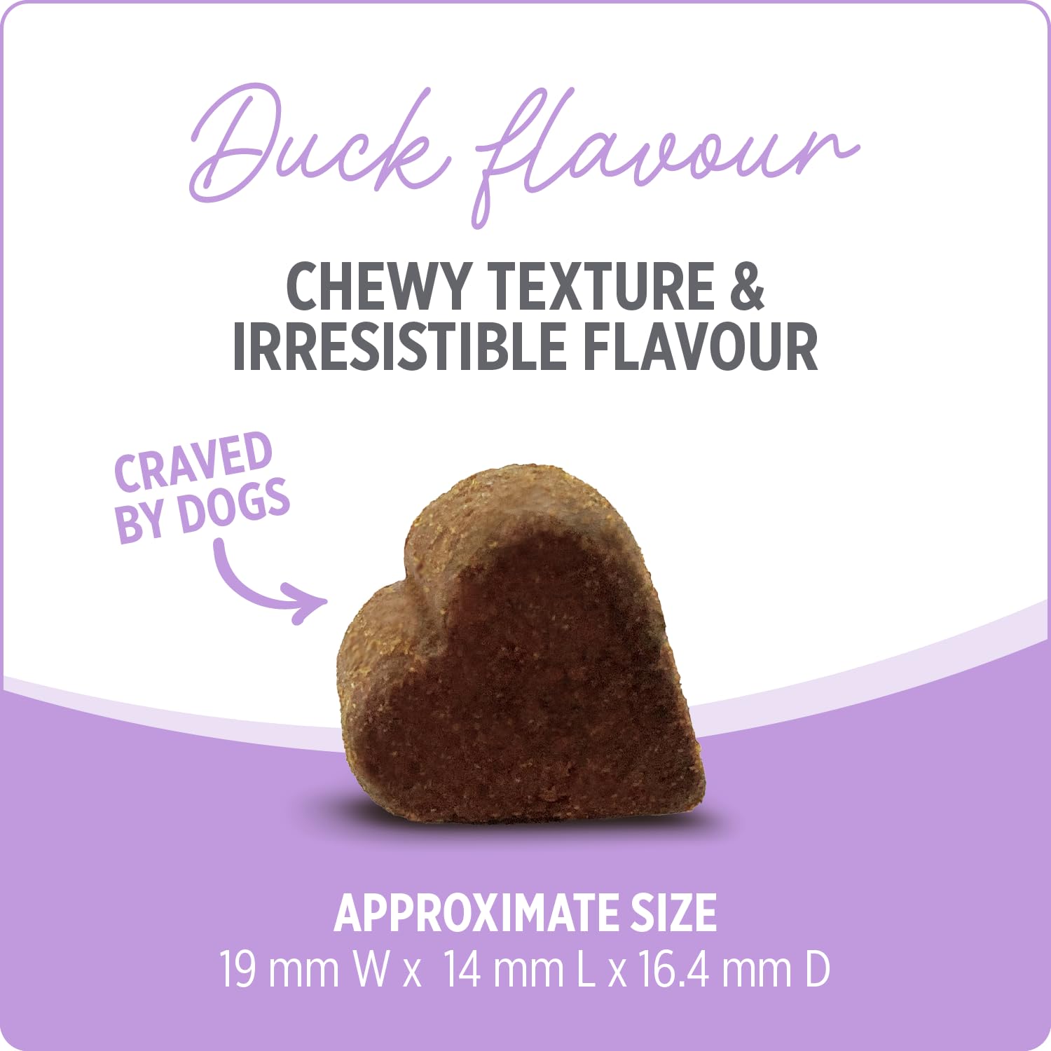 Nutrience Care® Hip & Joint Dog Supplement, 100 Soft Chews, 400 g 🍁 All In One Marketplace Canada