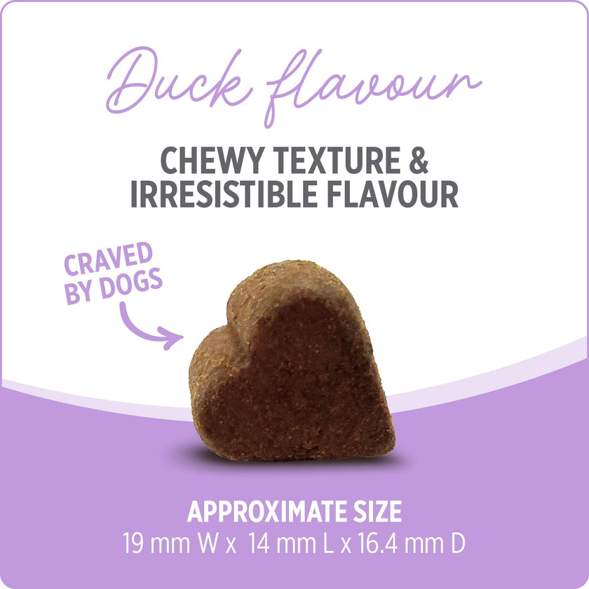 Nutrience Care® Hip & Joint Dog Supplement, 100 Soft Chews, 400 g 🍁 All In One Marketplace Canada