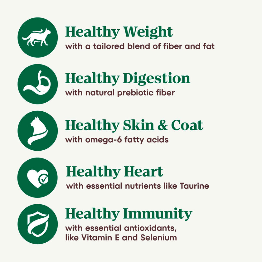 Nutro Wholesome Essentials Adult Dry Cat Food, Chicken Flavour, 1.36kg 🍁 All In One Marketplace Canada