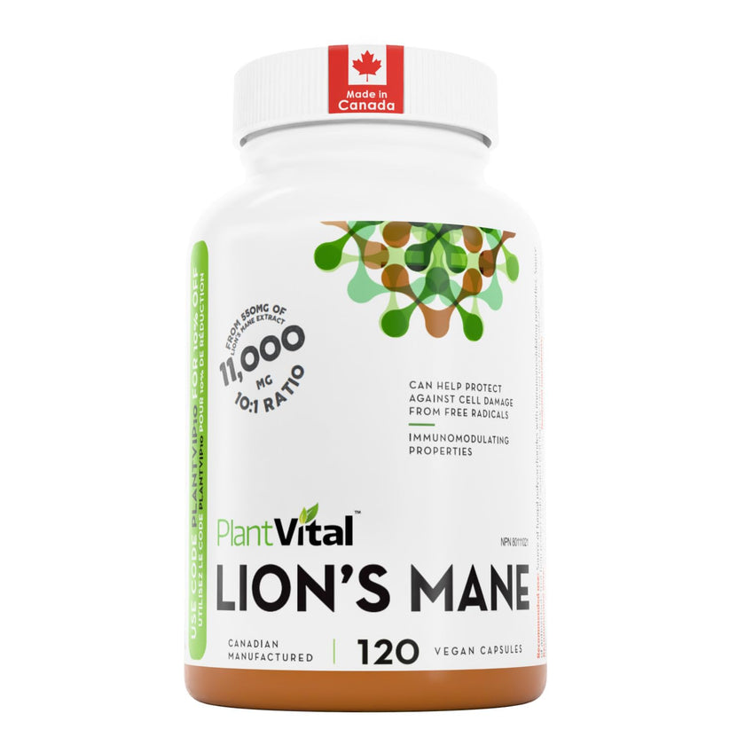 PlantVital Lions Mane - Made in Canada - Max Potency 11,000mg (10:1 Extract) - Organic Lion’s Mane Mushroom Supplements with 40% Polysaccharides - Supports Immune Health and Antioxidants -120 Capsules 🍁 All In One Marketplace Canada