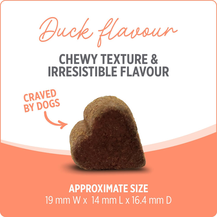 Nutrience Care® Probiotic+ Dog Supplement, 100 Soft Chews, 400 g 🍁 All In One Marketplace Canada