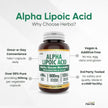 Herba Alpha Lipoic Acid 600mg – 120 Capsules | >99% Ultra Pure | Made in Canada | Blood Sugar Support Supplement 🍁 All In One Marketplace Canada