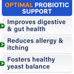 Probiotics for Dogs - Gas, Diarrhea, Allergy, Constipation, Upset Stomach Relief, w/Digestive Enzymes + Prebiotics - Chewable Supplement - Improve Digestion, Immunity - Dog Probiotics Chews - 180Ct 🍁 All In One Marketplace Canada