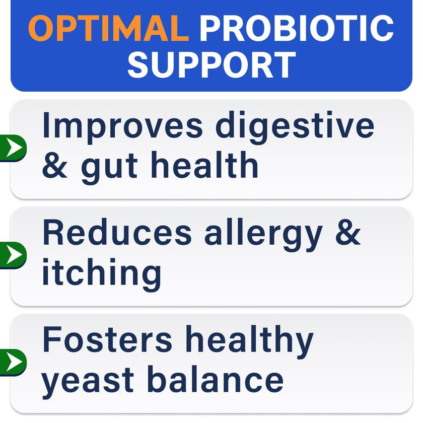 Probiotics for Dogs - Gas, Diarrhea, Allergy, Constipation, Upset Stomach Relief, w/Digestive Enzymes + Prebiotics - Chewable Supplement - Improve Digestion, Immunity - Dog Probiotics Chews - 180Ct 🍁 All In One Marketplace Canada