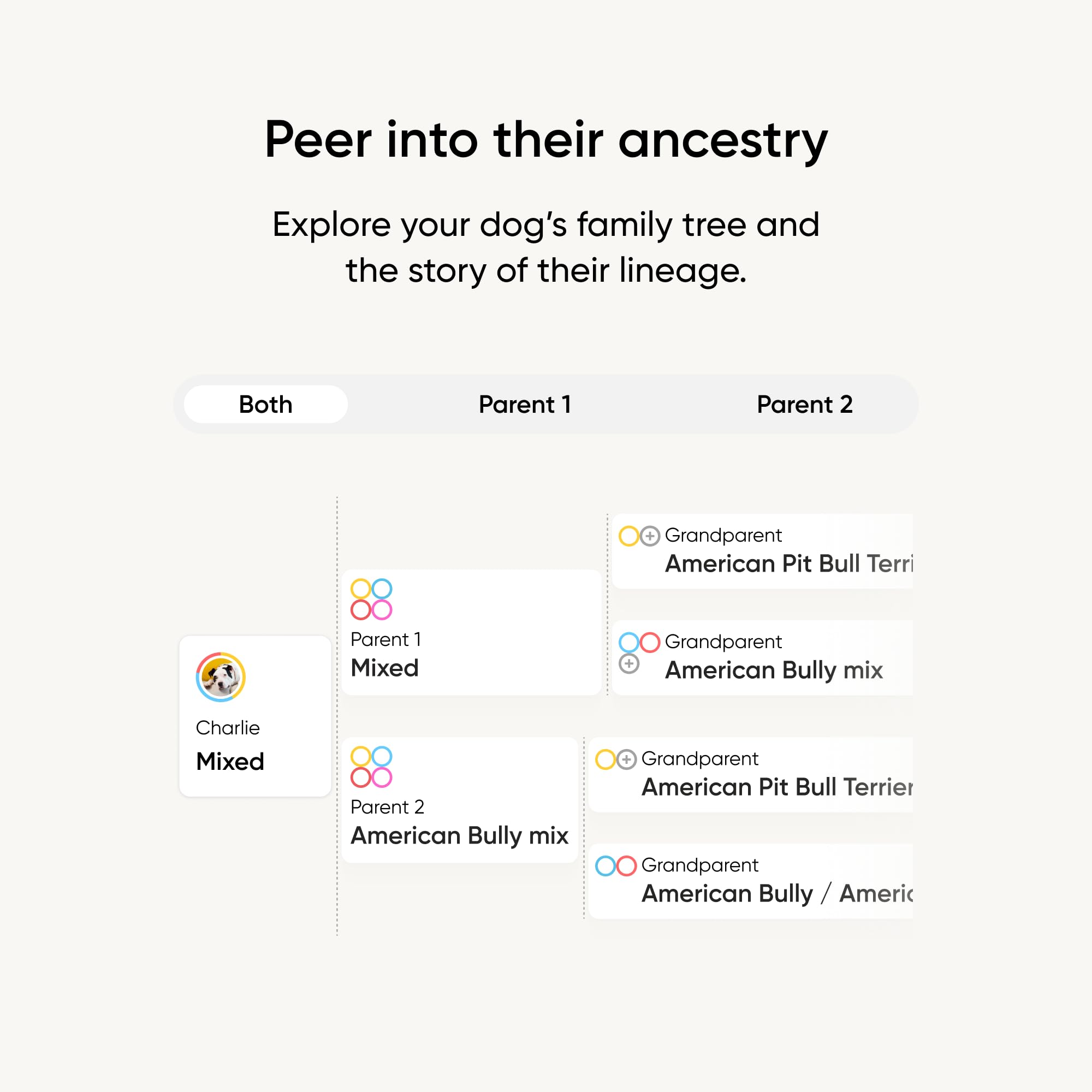 Embark Breed Identification Kit Most Accurate Dog DNA Test Test 350+ Dog Breeds Breed ID Kit with Ancestry & Family Tree 🍁 All In One Marketplace Canada