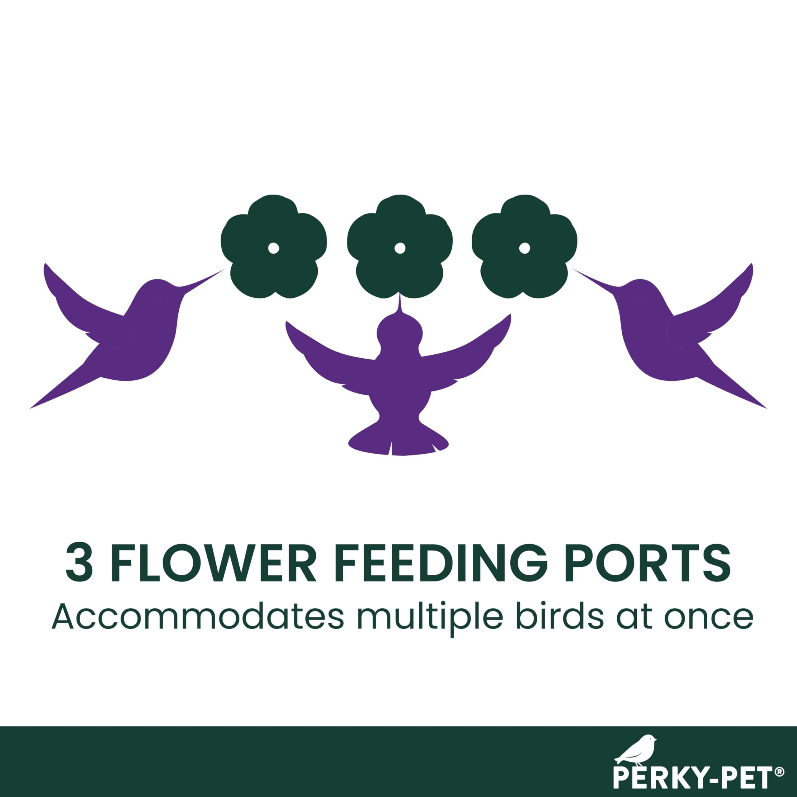 Perky-Pet 8-Ounce Window Mount Hummingbird Feeder 217 🍁 All In One Marketplace Canada