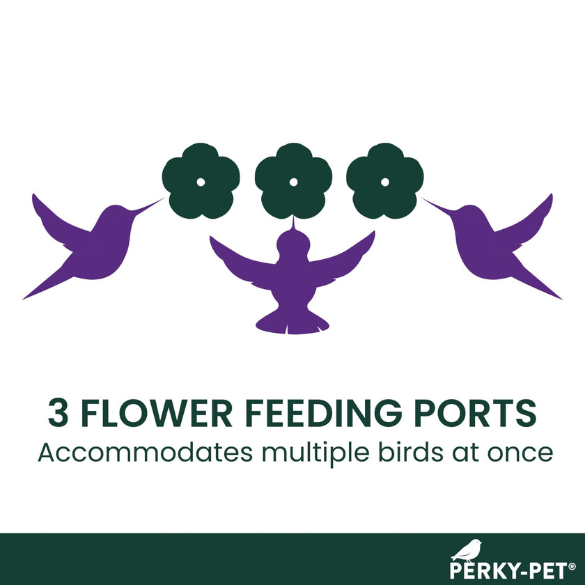 Perky-Pet 8-Ounce Window Mount Hummingbird Feeder 217 🍁 All In One Marketplace Canada