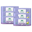 Aleva Naturals Bamboo Baby Wipes, 480 Count 🍁 All In One Marketplace Canada